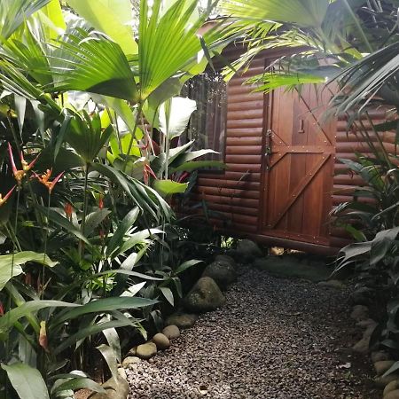 Arenal Rustic Lodge Alajuela Luaran gambar