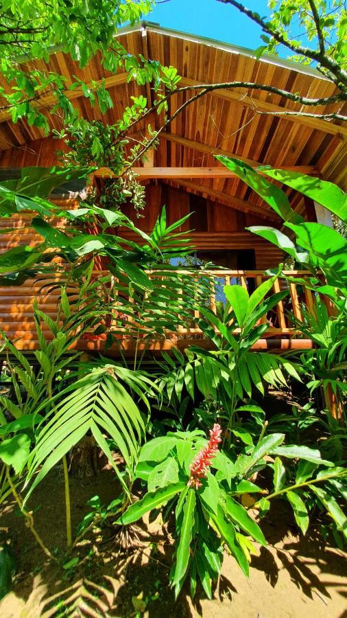 Arenal Rustic Lodge Alajuela Luaran gambar